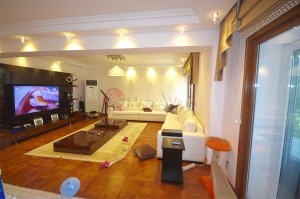 acarkent satılık b tipi villa