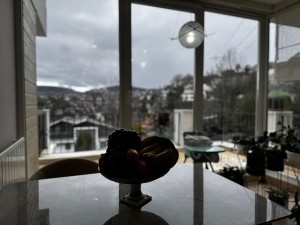 ACARKENT MV'DAN BR HAVUZLU BAHÇESİ BÜYÜK