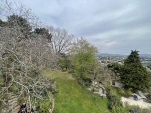 acarkent büyük bahçeli satılık malikhane