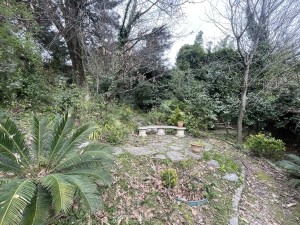 acarkent büyük bahçeli satılık malikhane