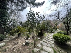 acarkent büyük bahçeli satılık malikhane