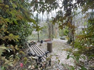 acarkent büyük bahçeli satılık malikhane