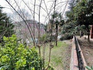 Acarkent C Tipi Satılık Villa