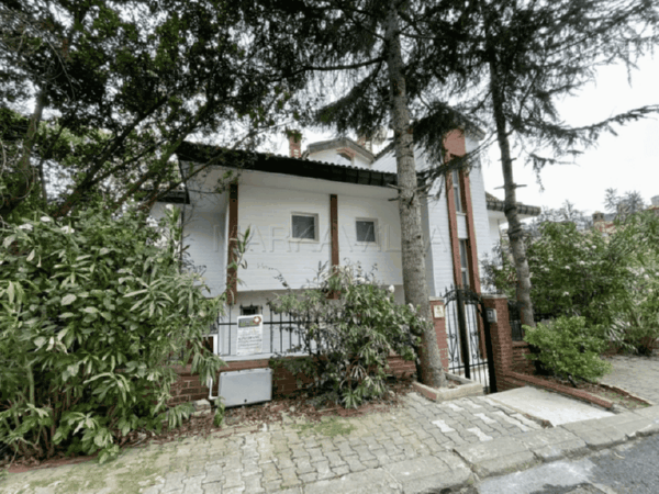 ağaçların arasında beyaz villa