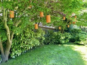 ACARKENT 'in SAKLI CENNETİNDE B TİPİ VİLLA..