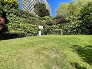 ACARKENT' in ZİRVESİNDE GÜNEY CEPHELİ 2 DÖNÜM İÇİNDE c tipi satılık