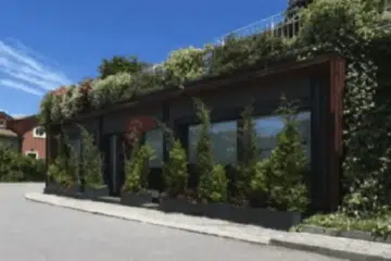 Dışı Sarmaşıklarla Kaplı Tek Katlı Ev