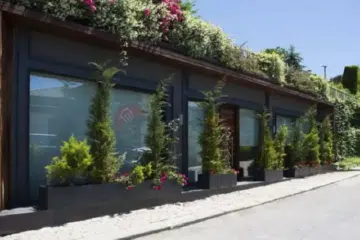 Modern Görünümlü Daire