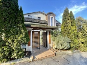 acarkent satılık b tipi villa