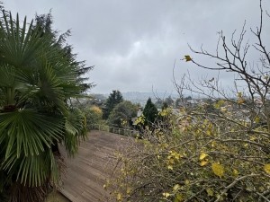 ACARKENT^DE SATILIK A TİPİ VİLLA