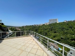 ACARKENT ÇATI TRİPLEKS SATILIK 2365